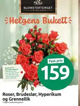 Joker Roser, Brudeslør, Hyperikum og Grennellik, NOK 159 tilbud
