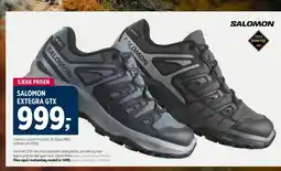 Sport 1 Salomon extegra gtx tilbud