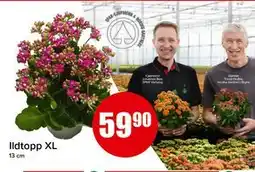 Spar Ildtopp XL, NOK 59.9 tilbud