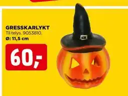 jem & fix GRESSKARLYKT, NOK 60 tilbud