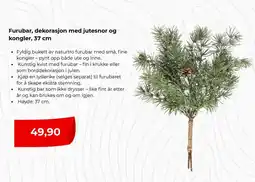 Clas Ohlson Furubar, dekorasjon med jutesnor og kongler, 37 cm tilbud