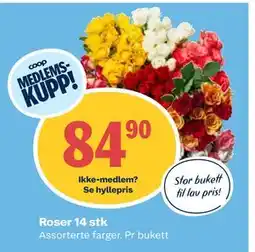 Coop Obs Roser 14 stk, Medlemspris tilbud