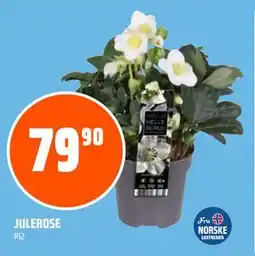 Coop Obs JULEROSE, NOK 79.9 tilbud