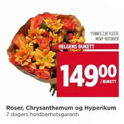 Meny Roser, Chrysanthemum og Hyperikum, NOK 149 tilbud