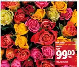 Meny ROSER 10PK, NOK 99 tilbud