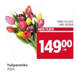 Meny Tulipanmiks, NOK 149 tilbud