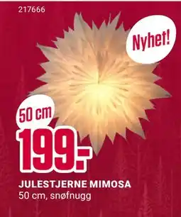 Europris JULESTJERNE MIMOSA, NOK 199 tilbud