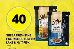 Bunnpris SHEBA FRESH FINE FJÆRKRE OG TUNFISK LAKS & HVIT FISK, NOK 40 tilbud