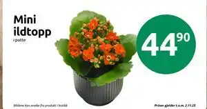 Joker Mini ildtopp, NOK 44.9 tilbud