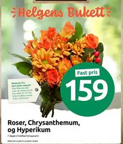 Joker Roser, Chrysanthemum, og Hyperikum, NOK 159 tilbud