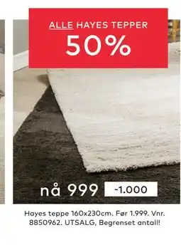 Skeidar ALLE HAYES TEPPER tilbud