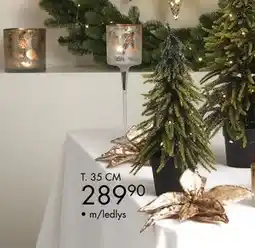 Sparkjøp Juletre Angel m/led, NOK 289.9 tilbud