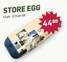 Holdbart STORE EGG, NOK 44.9 tilbud