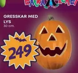 Extra Leker Gresskar med lys tilbud
