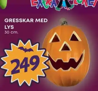 Extra Leker Gresskar med lys tilbud