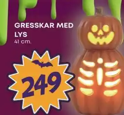 Extra Leker Gresskar med lys tilbud