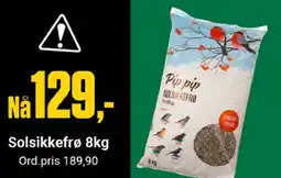 Europris Solsikkefrø tilbud