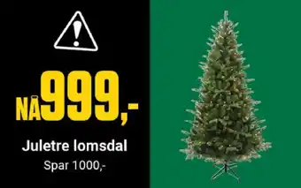 Europris Juletre lomsdal tilbud