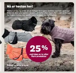 Musti Dekken og strikk til hund tilbud
