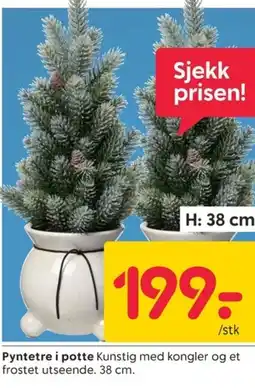 Rusta Pyntetre i potte tilbud