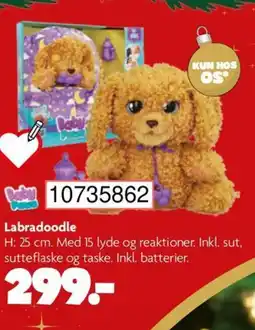 BR Leker Labradoodle tilbud