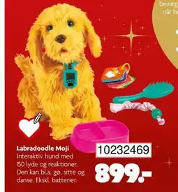 BR Leker Labradoodle Moji tilbud