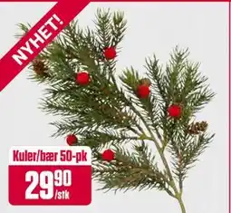Europris Kuler/bær 50-pk, NOK 29.9 tilbud