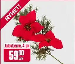 Europris Julestjerne, 4-pk, NOK 59.9 tilbud