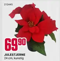 Europris JULESTJERNE, NOK 69.9 tilbud