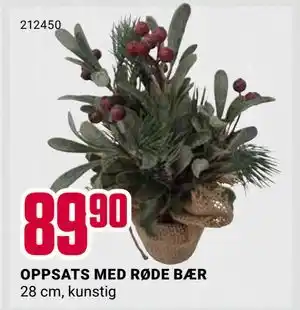 Europris OPPSATS MED RØDE BÆR, NOK 89.9 tilbud