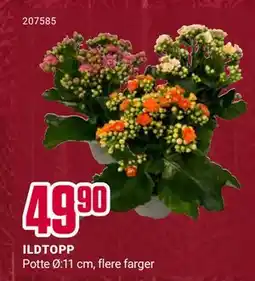 Europris ILDTOPP, NOK 49.9 tilbud