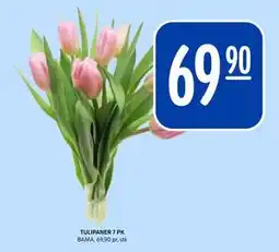 Rema 1000 TULIPANER 7 PK, NOK 69.9 tilbud