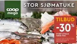 Coop Mega STORT UTVALG FERSK FISK tilbud