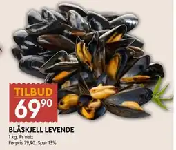 Coop Mega BLÅSKJELL LEVENDE, NOK 69.9 tilbud