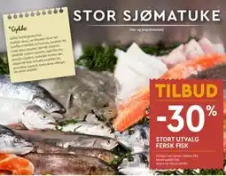 Coop Mega STORT UTVALG FERSK FISK tilbud