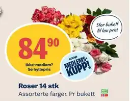 Coop Mega Roser 14 stk, Medlemspris tilbud
