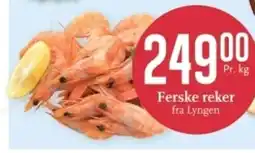 CC Mat Ferske reker fra Lyngen tilbud