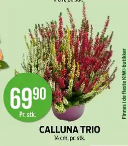 Kiwi CALLUNA TRIO, NOK 69.9 tilbud