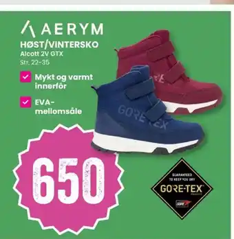 Aerym høst/vintersko alcott 2v gtx