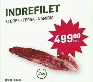 INDREFILET, NOK 499