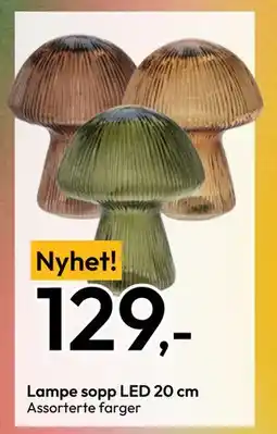 Gigaboks Lampe sopp LED 20 cm, NOK 129 tilbud