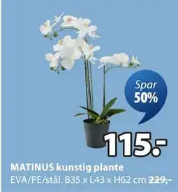 JYSK MATINUS kunstig plante, NOK 115 tilbud