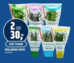 Coop Obs ÄNGLAMARK URTER, NOK 30 tilbud