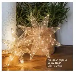 Nille GULLTRÅD STJERNE tilbud