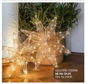 Nille GULLTRÅD STJERNE tilbud
