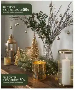 Nille ALLE VASER & STILKBLOMSTER tilbud