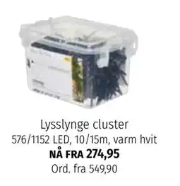 Nille Lysslynge cluster tilbud