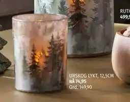 Nille URSKOG LYKT, 12,5CM, NOK 74.95 tilbud