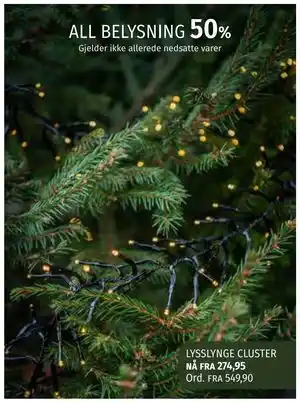 Nille ALL BELYSNING tilbud