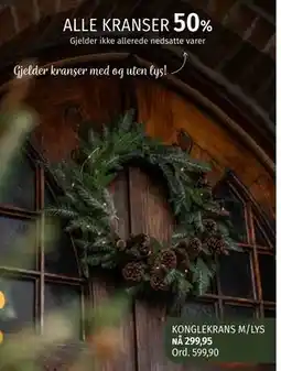 Nille ALLE KRANSER tilbud